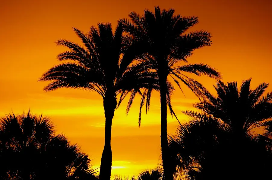 Belleair Beach