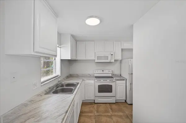 14024 VILLAGE TERRACE DR, Tampa, FL 33624
