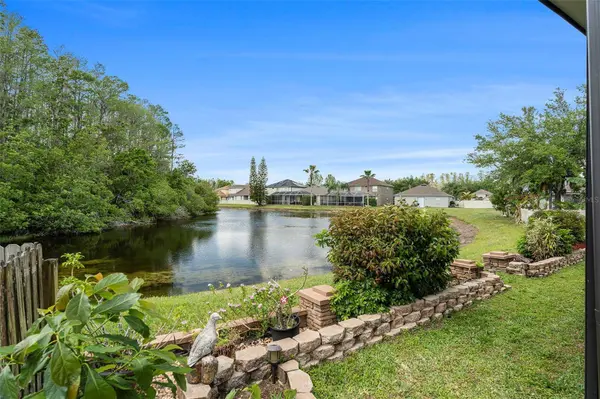 3219 GIANNA WAY, Land O Lakes, FL 34638