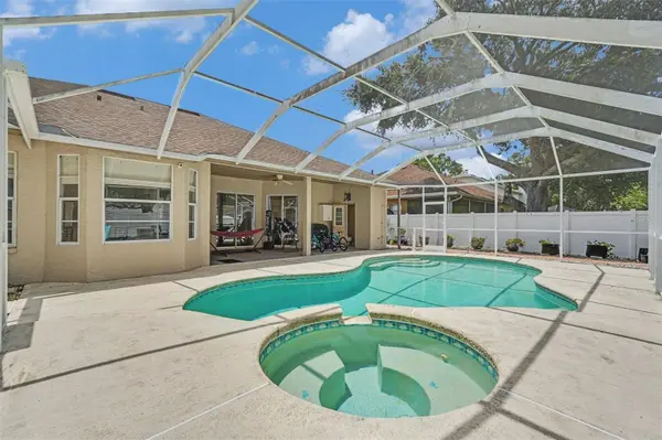 12410 DRIFTSTONE WAY, Riverview, FL 33569