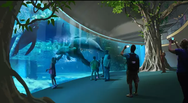 manatee-artists-rendering2