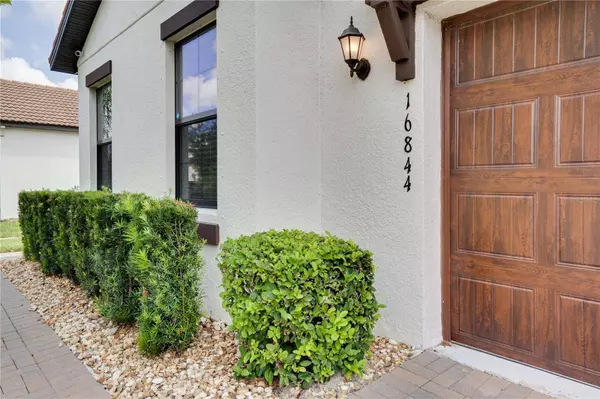 16844 WHISPER ELM ST, Wimauma, FL 33598