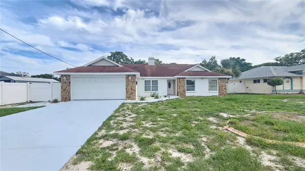 11318 PALOMAR ST, Spring Hill, FL 34609
