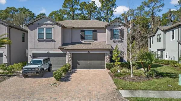 5110 SAN MARTINO DR, Wesley Chapel, FL 33543