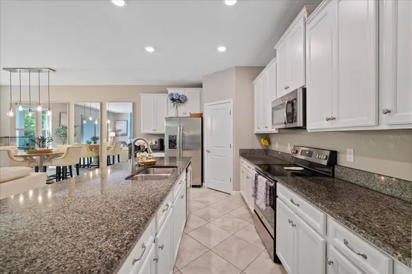 10029 CORSO MILANO DR, Tampa, FL 33625