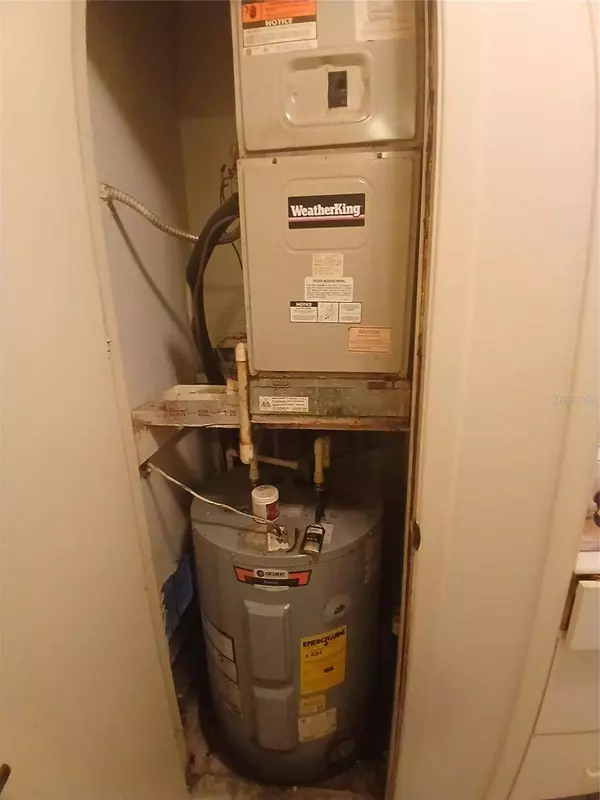 4031 TUMBLE WOOD TRL #204, Tampa, FL 33613