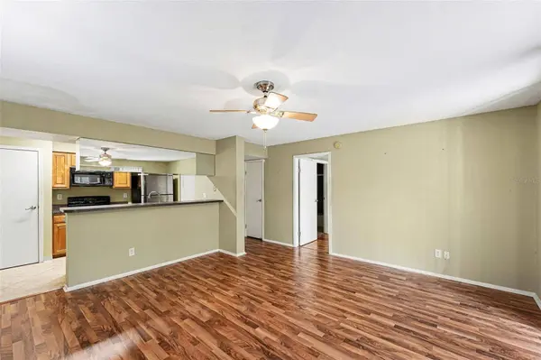 9100 DR MARTIN LUTHER KING JR ST N #1205, St Petersburg, FL 33702