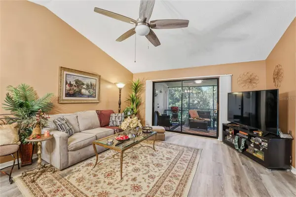 317 KNOTTWOOD CT #317, Sun City Center, FL 33573