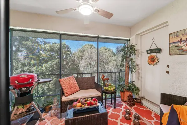 317 KNOTTWOOD CT #317, Sun City Center, FL 33573
