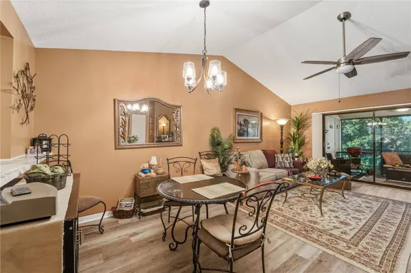 317 KNOTTWOOD CT #317, Sun City Center, FL 33573