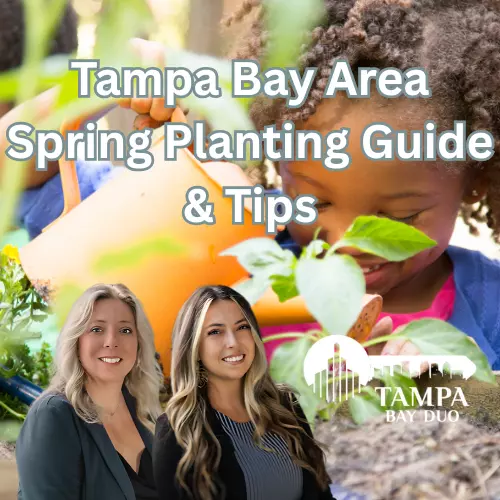  Tampa Bay Area Spring Planting Guide & Tips