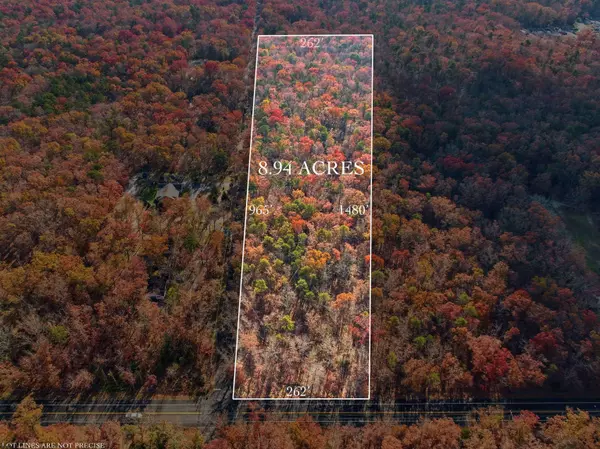 Rt 50 and Cedar, Mays Landing, NJ 08330