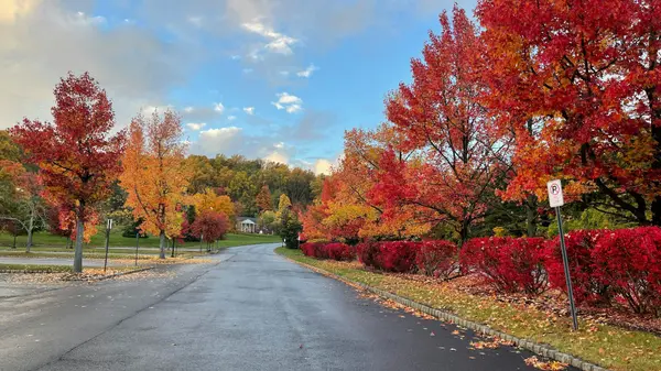 Tree-lined park road with fall foliage in Morristown, NJ