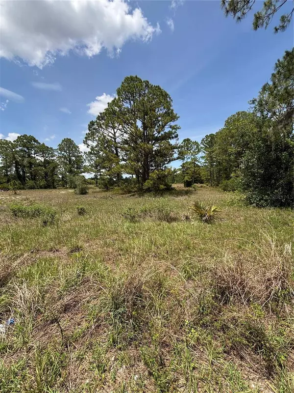 304 SUNFLOWER AVE, Lake Placid, FL 33852