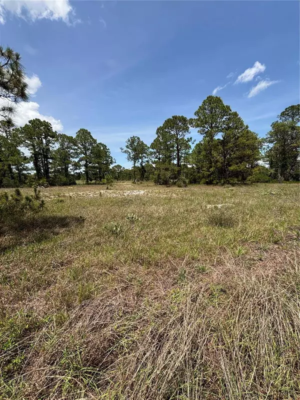 304 SUNFLOWER AVE, Lake Placid, FL 33852