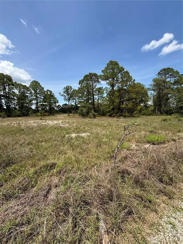 304 SUNFLOWER AVE, Lake Placid, FL 33852