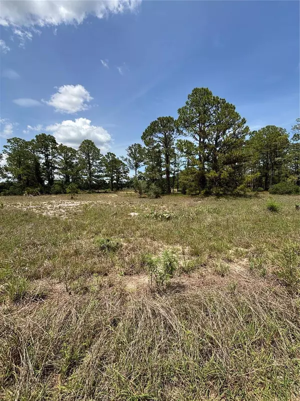 304 SUNFLOWER AVE, Lake Placid, FL 33852