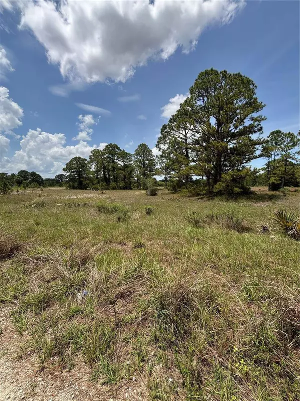 304 SUNFLOWER AVE, Lake Placid, FL 33852