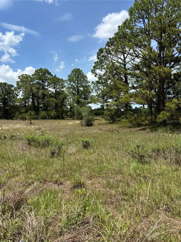 304 SUNFLOWER AVE, Lake Placid, FL 33852