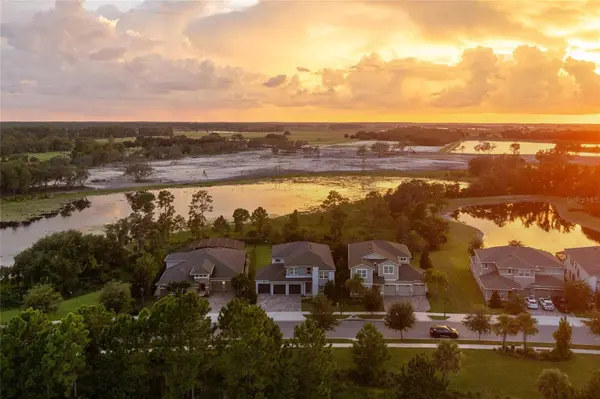 16975 WINGSPREAD LOOP, Winter Garden, FL 34787