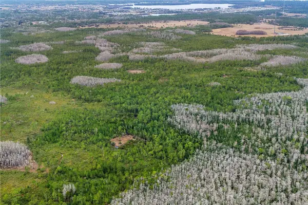 DILL RD, Orlando, FL 32820