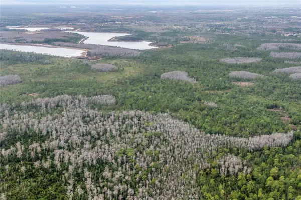 DILL RD, Orlando, FL 32820