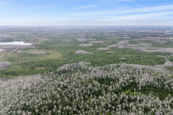 DILL RD, Orlando, FL 32820