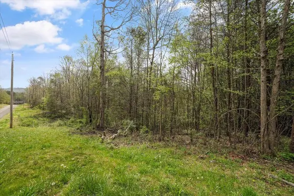 1433 Timber TRL, Newport, TN 37821