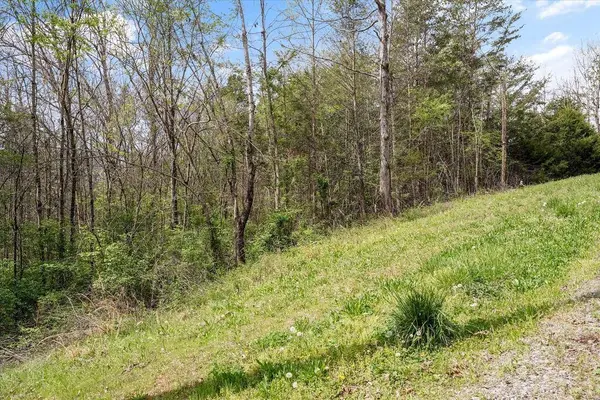 1433 Timber TRL, Newport, TN 37821