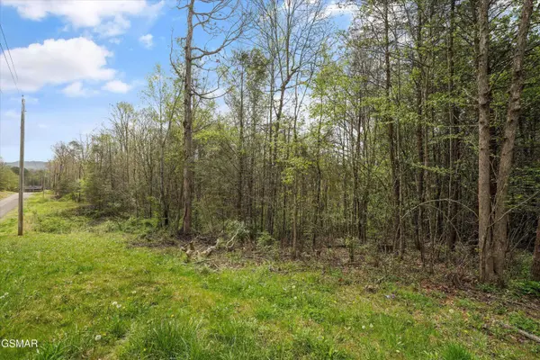 1433 Timber TRL, Newport, TN 37821