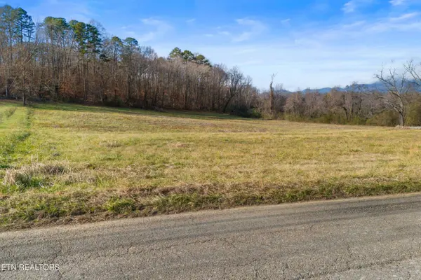 4121 Chavis Rd, Cosby, TN 37722