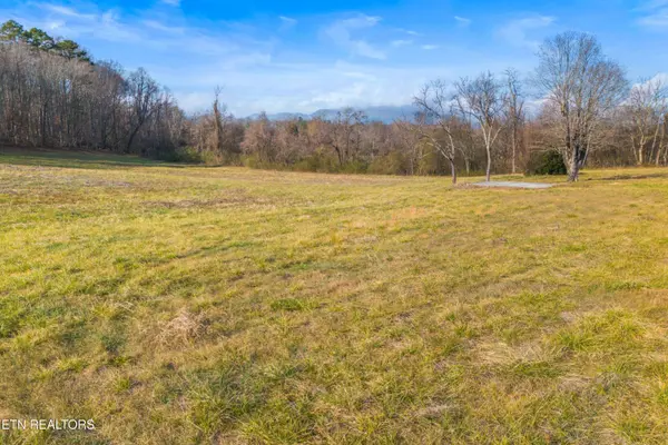 4121 Chavis Rd, Cosby, TN 37722