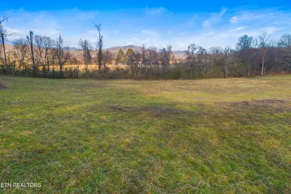 4121 Chavis Rd, Cosby, TN 37722