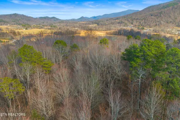 4121 Chavis Rd, Cosby, TN 37722