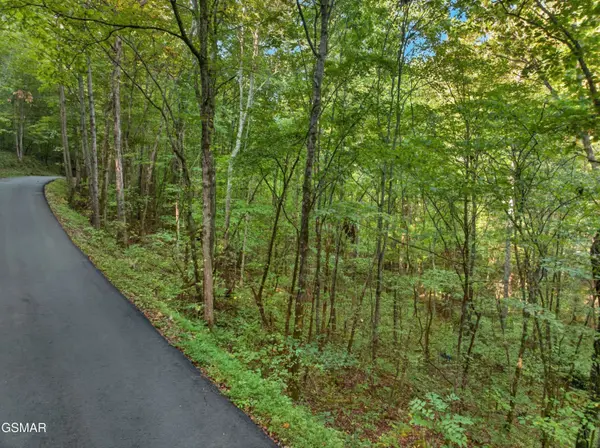 Lot 13-14 Speedwell Chuch Rd, Bulls Gap, TN 37711