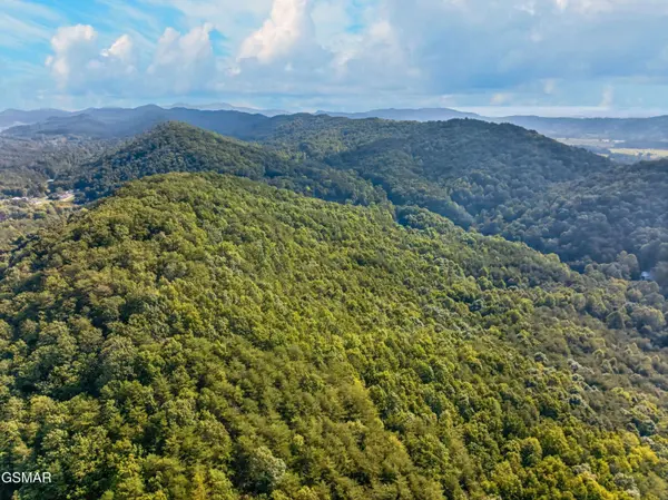 Lot 13-14 Speedwell Chuch Rd, Bulls Gap, TN 37711