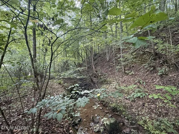 Lot 13-14 Speedwell Chuch Rd, Bulls Gap, TN 37711