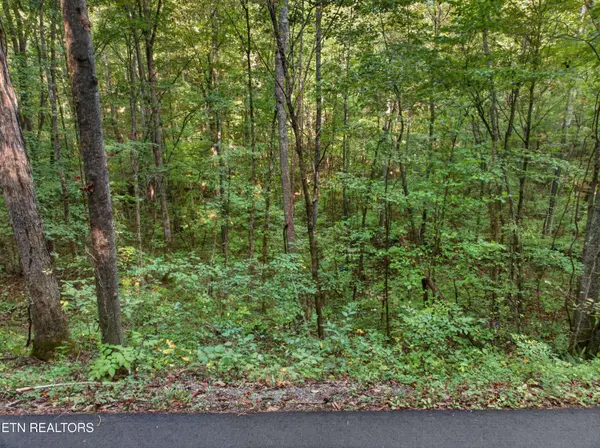Lot 13-14 Speedwell Chuch Rd, Bulls Gap, TN 37711