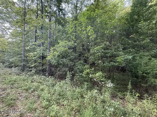 Lot 13-14 Speedwell Chuch Rd, Bulls Gap, TN 37711