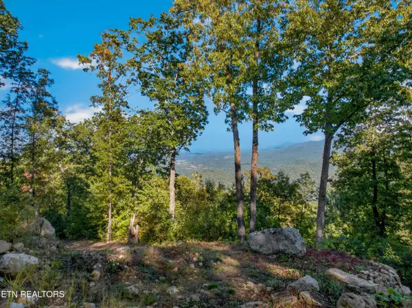 5979 Hopi Tr, Del Rio, TN 37727