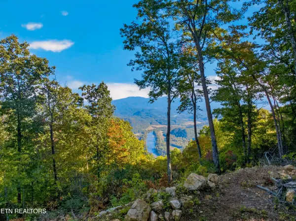 5979 Hopi Tr, Del Rio, TN 37727
