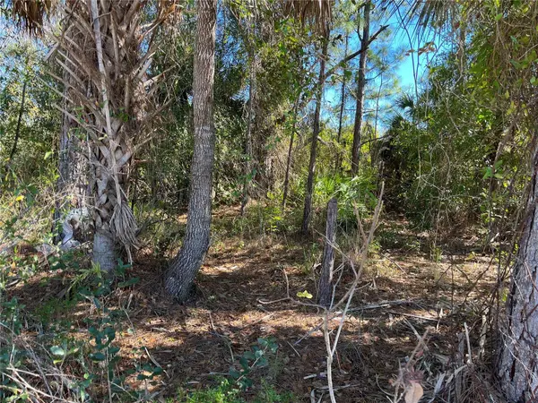 TAPLIN AVE, North Port, FL 34291