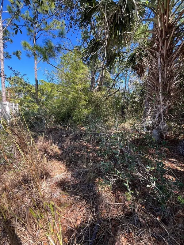 TAPLIN AVE, North Port, FL 34291