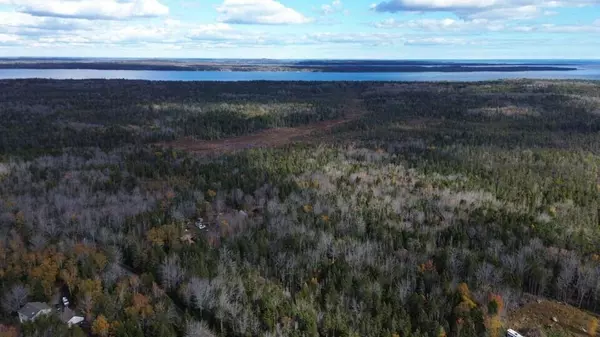 M51 L8 Grand Marsh Bay RD, Gouldsboro, ME 04624