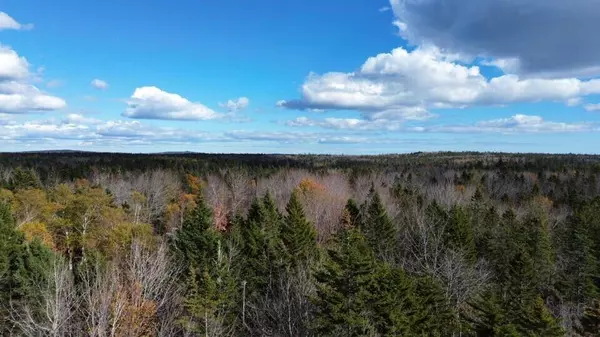 M51 L8 Grand Marsh Bay RD, Gouldsboro, ME 04624