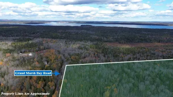 M51 L8 Grand Marsh Bay RD, Gouldsboro, ME 04624
