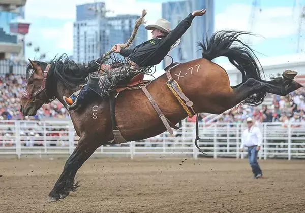 Top 5 Things to Do in Calgary City  | Explore the Heart of Alberta