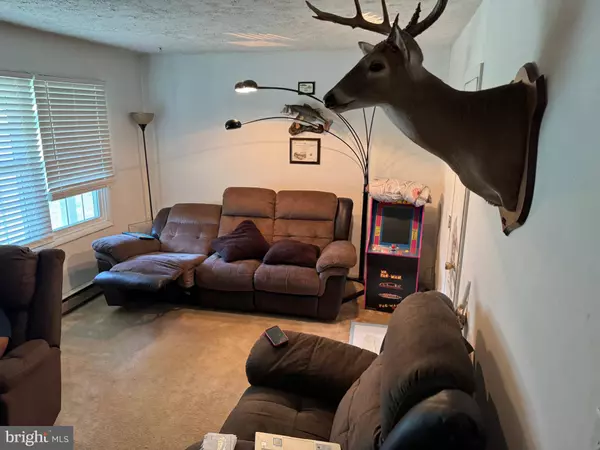 404 NEWELL ST, Fredericksburg, VA 22401