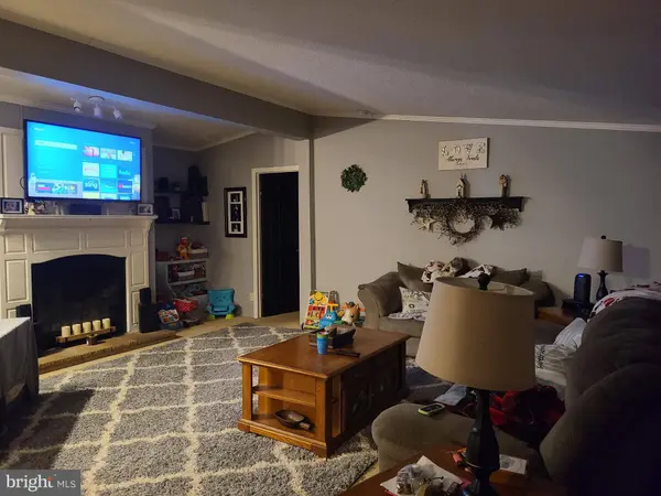 33206 CRABAPPLE LN, New Church, VA 23415