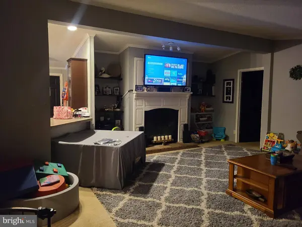 33206 CRABAPPLE LN, New Church, VA 23415